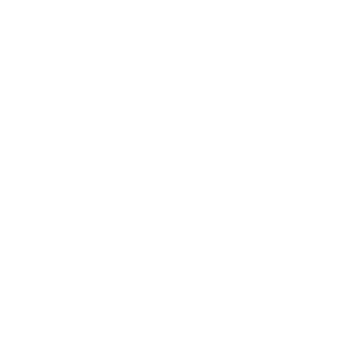 winter icon